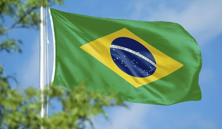brasil em 2023 aparecida liberato numerologia
