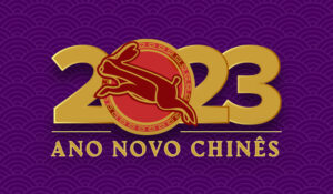 ano novo chinês 2023 - aparecida liberato